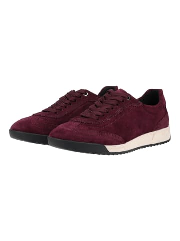 ara Sneaker STOCKHOLM Dunkelrot