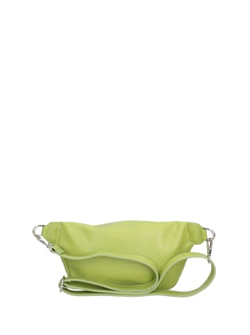 Chiara Ferretti Riementasche in GREEN