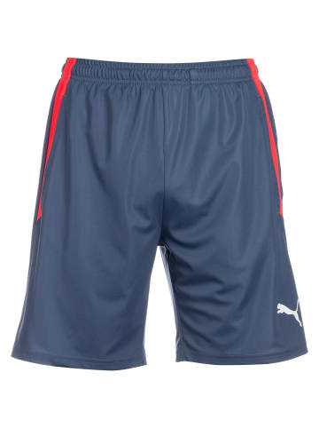 Puma Trainingsshorts TeamLIGA Training in blau / rot