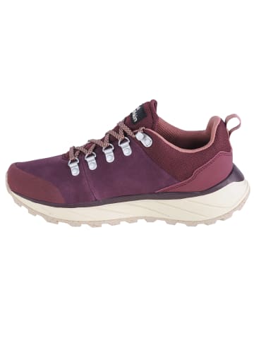 Jack Wolfskin Jack Wolfskin Terraventure Urban Low M in Dunkelrot