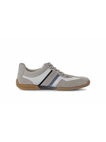 Pius Gabor Sneaker für Herren in grau