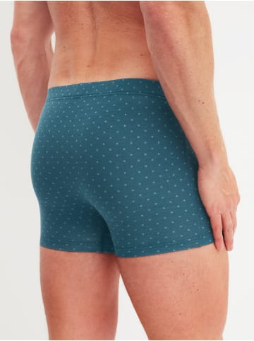 Calida Boxer Brief in deep petrol