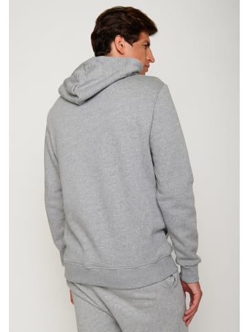 GreenBomb Hoodie Animal Camel in Heidekraut Grau