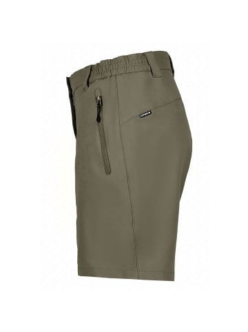 Icepeak Shorts in Grau