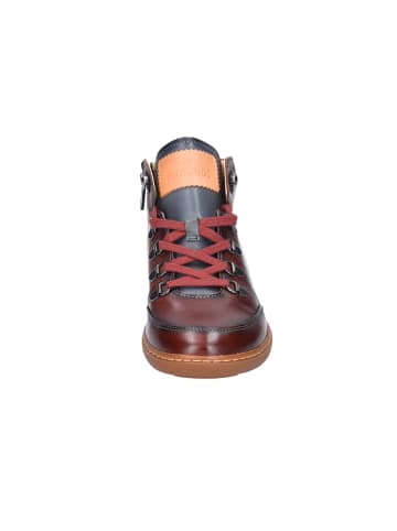 Pikolinos Schnürschuh in braun