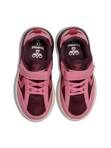 Hummel Klettverschluss Sneaker Daylight Jr Lebensstil Kinder in WINETASTING