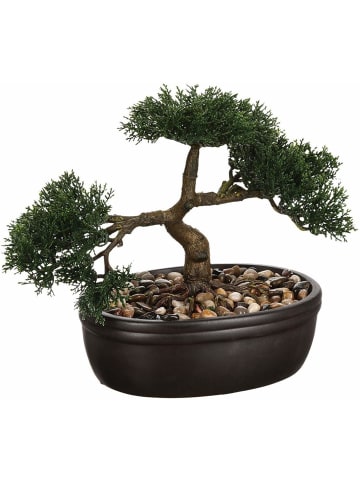 Atmosphera Créateur d'intérieur Bonsai Kunstpflanze in schwarz