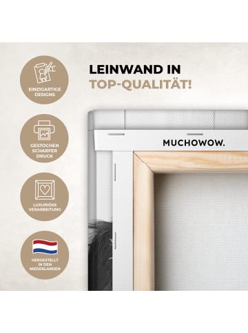 MuchoWow Poster mit Leiste Zeitung Affe  (BxH)