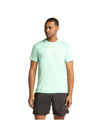 icebreaker M Mer 150 Tech Lite SS Tee Adventur in Hellgrün224