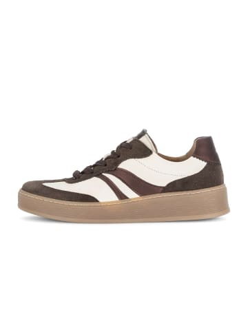 Gabor Sneaker low in multicolour