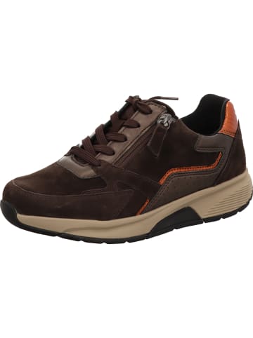 Gabor Sneaker Low in braun