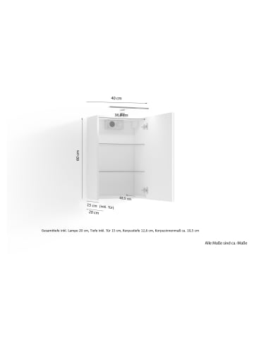 byLiving Spiegelschrank SPREE in anthrazit - B 40, H 60, T 20 cm