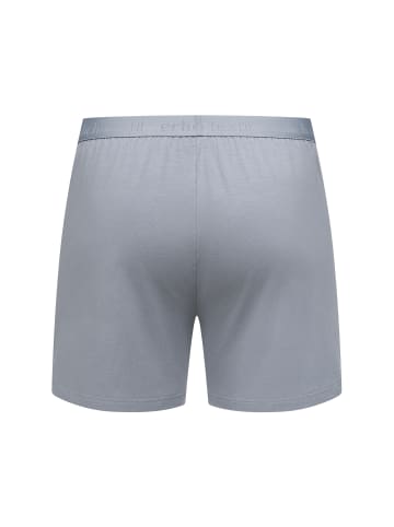 Erlich Textil  Erlich Textil weite Boxershorts CASUAL COTTON BOXERS in steingrau