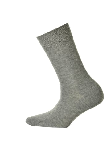 Hudson Socken 2er Pack in Silber