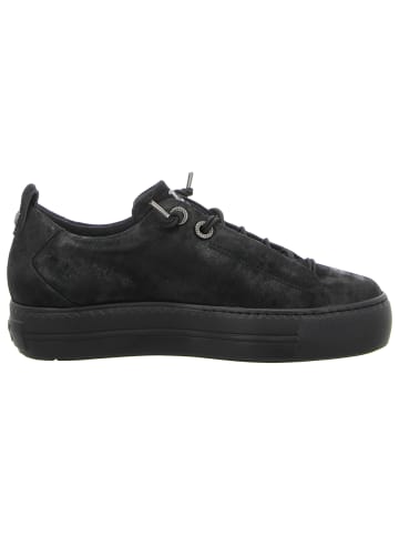 Paul Green Schnürschuh in schwarz