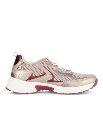 Gabor Sneaker low in multicolour