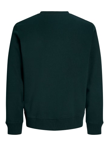 JACK & JONES PLUS Sweatshirt in Scarab