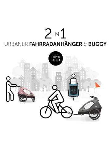 Hauck 2in1 Fahrradanhänger Dryk Duo für 2 Kinder in grau,schwarz
