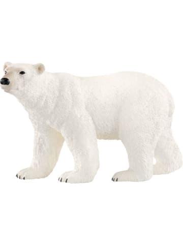Schleich Eisbär in Mehrfarbig ab 3 Jahre