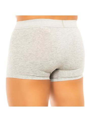 CALVIN KLEIN UNDERWEAR Boxershorts in Gray