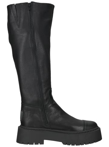 Steve Madden Stiefel in Schwarz