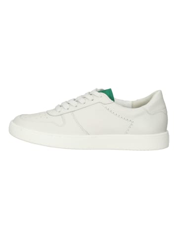 Paul Green Sneaker in Ivory