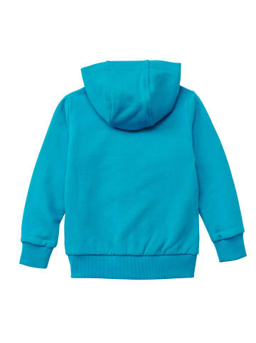 Kapuzenjacke in grün