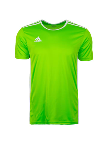 adidas Performance Fußballtrikot Entrada 18 in grün / weiß