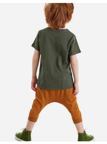 Denokids Set Roar Tiger in Khaki