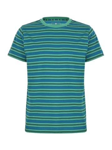 elkline Streifen T-Shirt Hannes in blue coral - trekking green