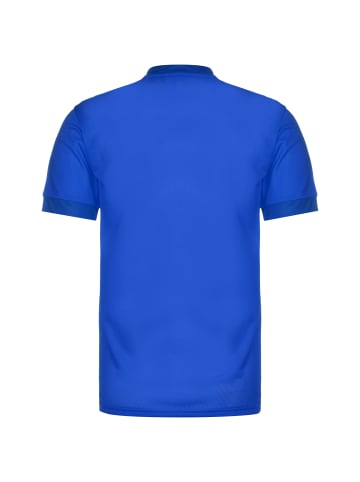 Puma Fußballtrikot teamGoal 23 in blau