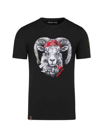 Almgwand Ogrisalm in Schwarz01100