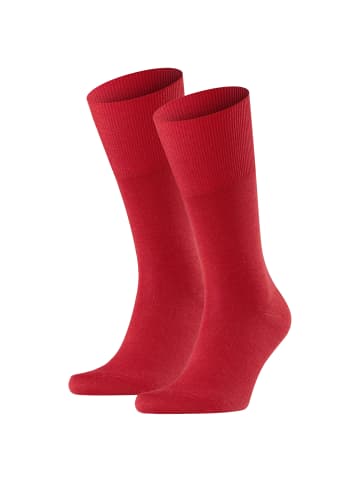 Falke Socken 2er Pack in Rot (Scarlet)