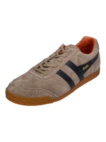 Gola Sneaker Low HARRIER CMA192FE in braun