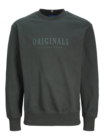 Jack & Jones Sweatshirt in Forest River
