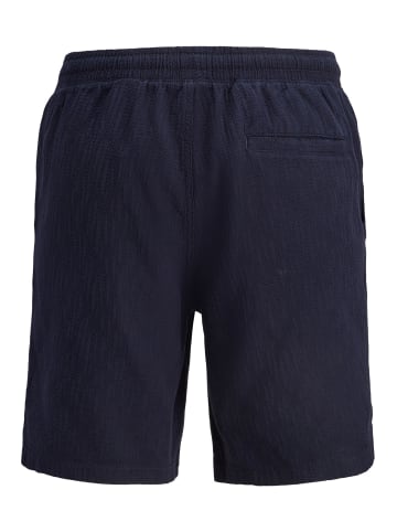 Jack & Jones Shorts in Sky Captain