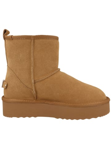 Steve Madden Boots Tessah in braun