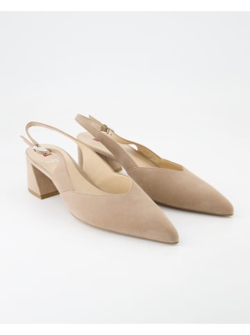 Högl Business Schuhe in Beige