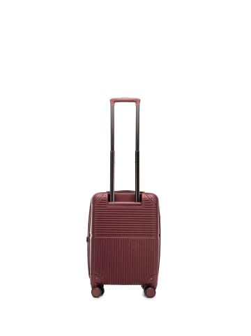 Wittchen AXIS LINE COLLECTION in Bordeaux