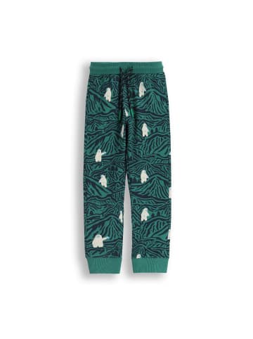 Coccodrillo Jogginghose in bunt