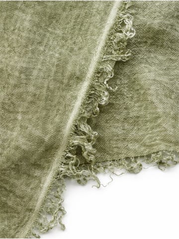 collezione alessandro Schal " Schmeichler " in khaki