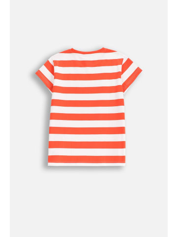 Coccodrillo T-shirt mit kurzen Ärmeln in bunt