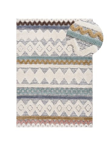 payé Teppich Hochflor Multicolor Nara