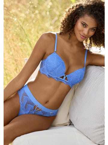 LASCANA Push-up-BH in blau