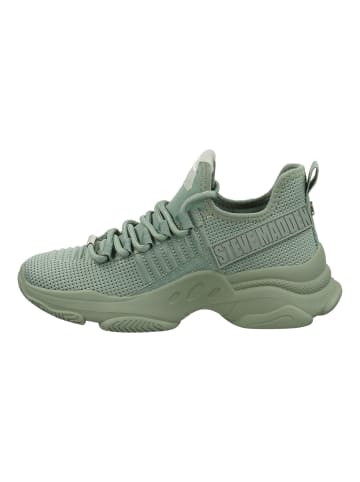 Steve Madden Sneaker in Sage