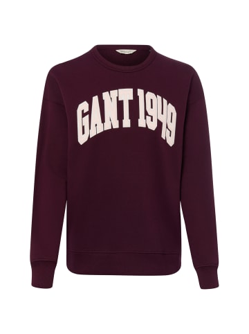 Gant Sweatshirt in aubergine