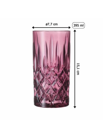 Nachtmann 2er Set Longdrinkgläser Noblesse 395 ml in Berry