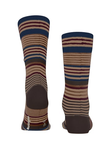 Burlington Socken Stripe in Camel