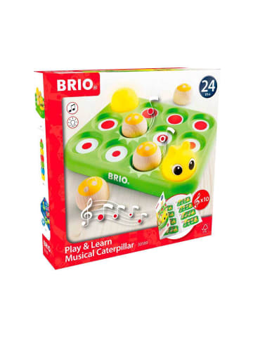 Brio Aktionsspiel BRIO Infant/ Toddler - Musikspiel Raupe Ab 2 Jahre in bunt