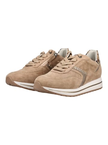 Gabor Sneaker in Sand